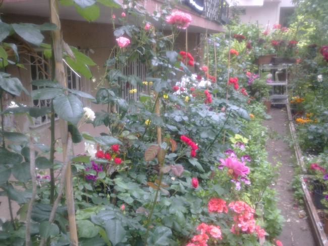 Name:  Resim 088.jpg
Views: 1671
Size:  58.2 KB