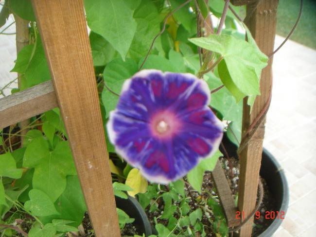 Name:  DSC00024.jpg
Views: 824
Size:  45.4 KB