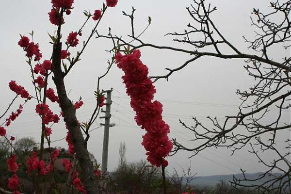 Name:  fotoraf mak aktarlan 266.jpg
Views: 2157
Size:  50.1 KB