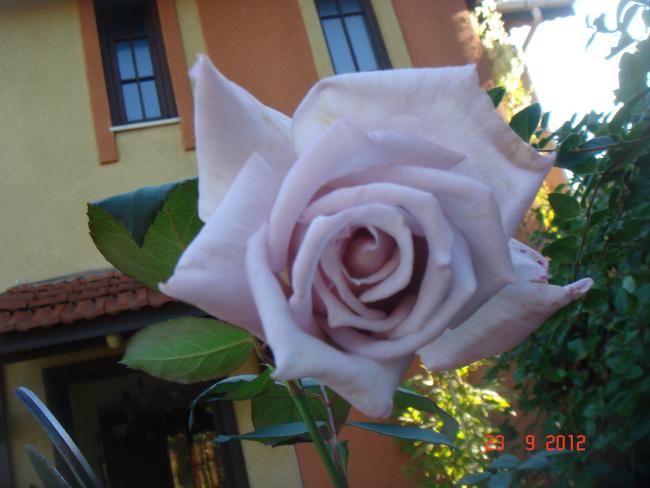 Name:  DSC00158.jpg
Views: 753
Size:  38.4 KB