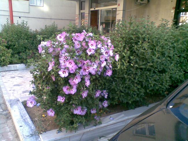 Name:  26092012.jpg
Views: 2540
Size:  66.9 KB