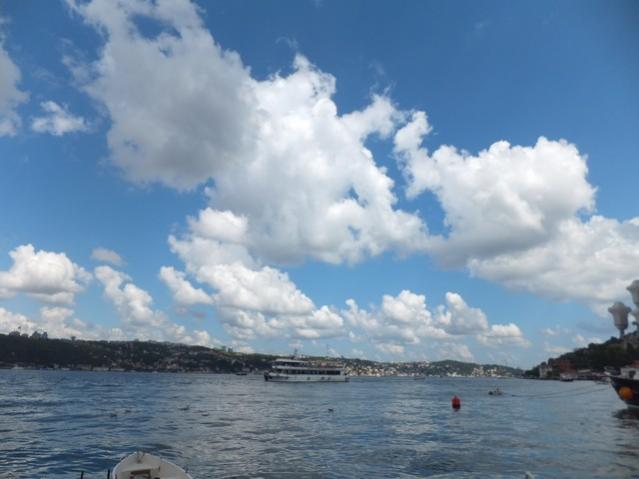 Name:  DSCF5449.jpg
Views: 501
Size:  33.0 KB