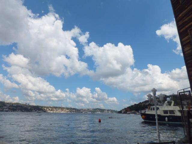 Name:  DSCF5451.jpg
Views: 438
Size:  33.7 KB