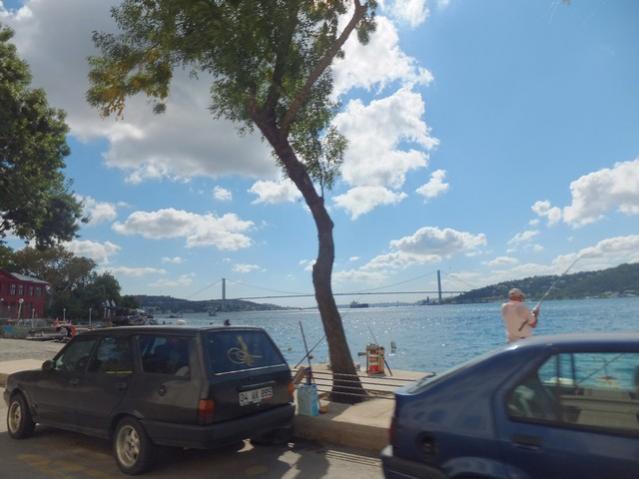 Name:  DSCF5697.jpg
Views: 426
Size:  39.1 KB