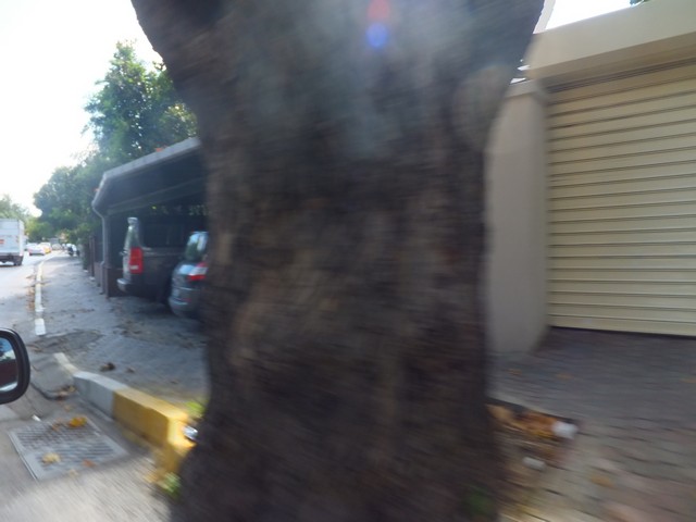 Name:  DSCF5705.jpg
Views: 422
Size:  59.9 KB