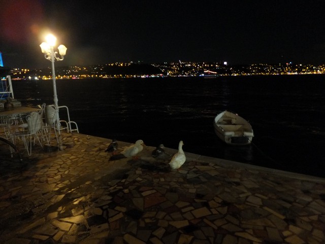 Name:  DSCF5708.jpg
Views: 413
Size:  68.3 KB