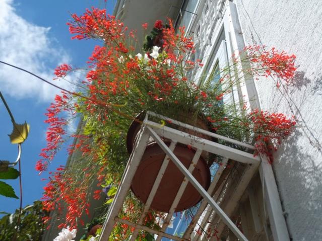 Name:  DSCF5760.jpg
Views: 413
Size:  62.9 KB