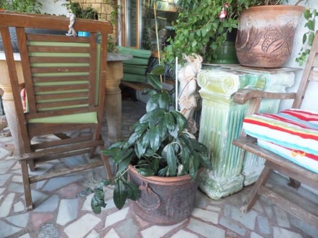 Name:  DSCF5878.jpg
Views: 405
Size:  56.0 KB