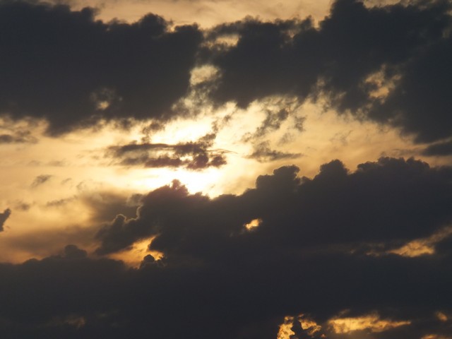 Name:  DSCF5931.jpg
Views: 379
Size:  51.0 KB