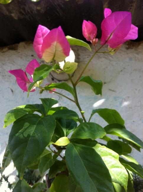Name:  resim 003.jpg
Views: 1019
Size:  41.8 KB