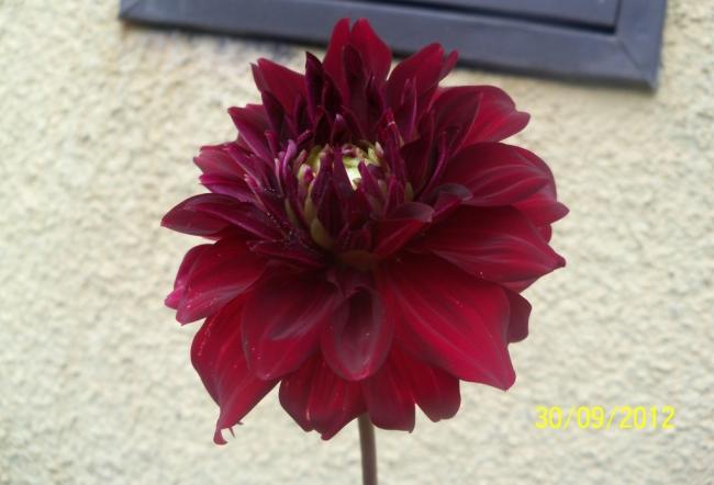 Name:  101_2228.jpg
Views: 677
Size:  31.5 KB