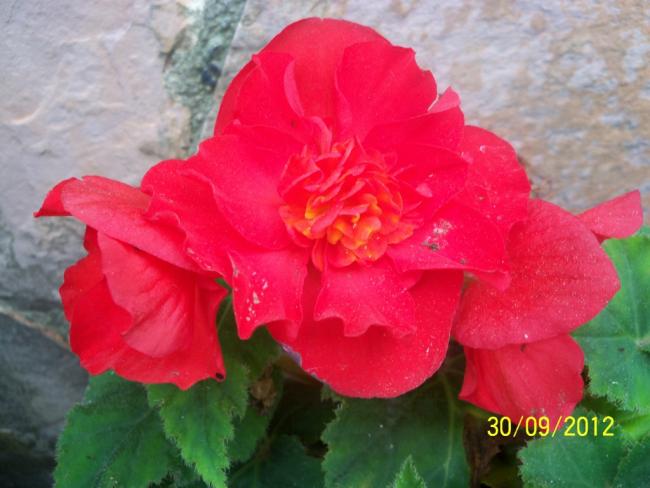 Name:  101_2205.jpg
Views: 637
Size:  40.4 KB