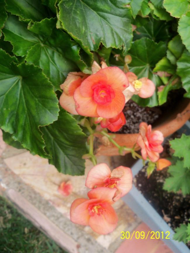 Name:  101_2213.jpg
Views: 642
Size:  66.4 KB
