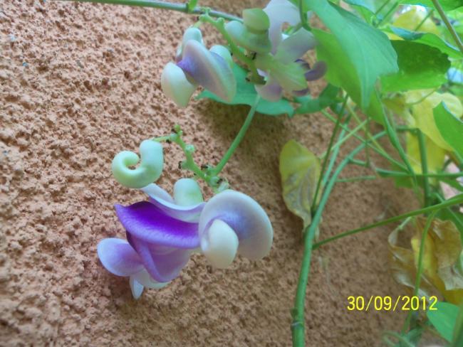 Name:  101_2278.jpg
Views: 1151
Size:  57.2 KB