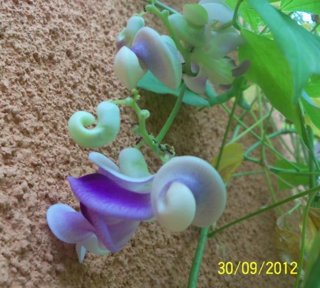 Name:  101_2284.jpg
Views: 1148
Size:  59.1 KB