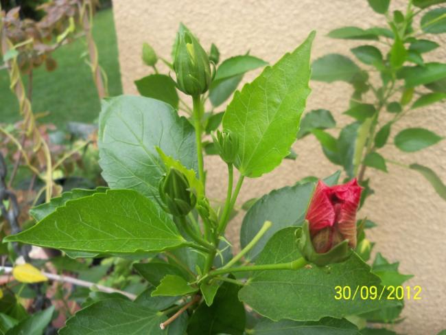 Name:  101_2214.jpg
Views: 1194
Size:  46.1 KB