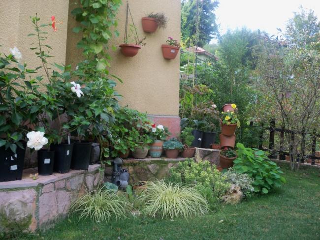 Name:  101_2302.jpg
Views: 1176
Size:  69.0 KB