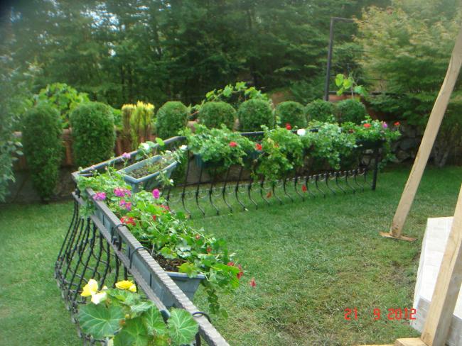 Name:  DSC00010.jpg
Views: 1180
Size:  66.9 KB