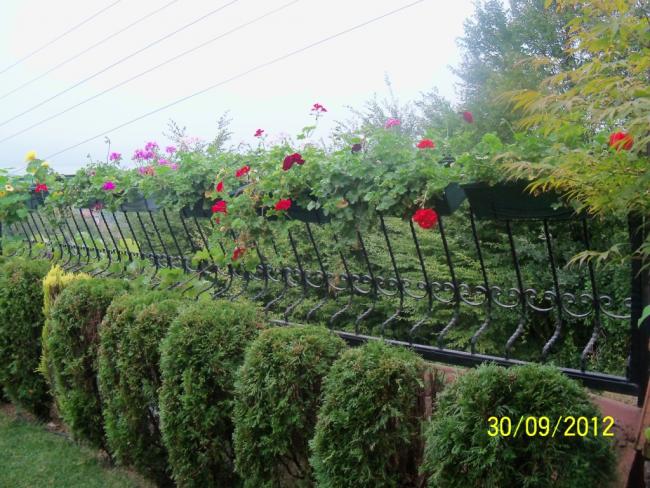 Name:  101_2011.jpg
Views: 1397
Size:  68.4 KB