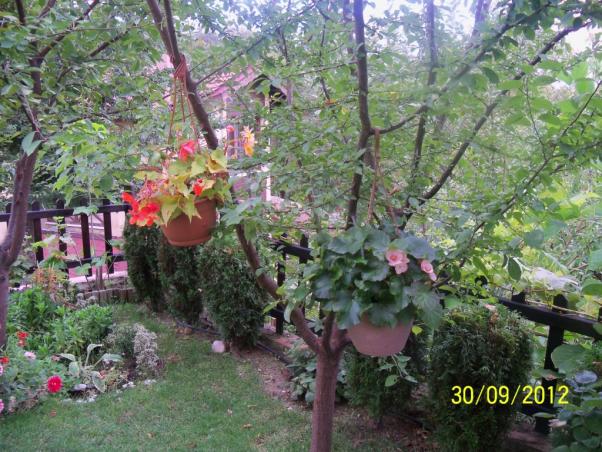 Name:  101_2056.jpg
Views: 1148
Size:  71.4 KB