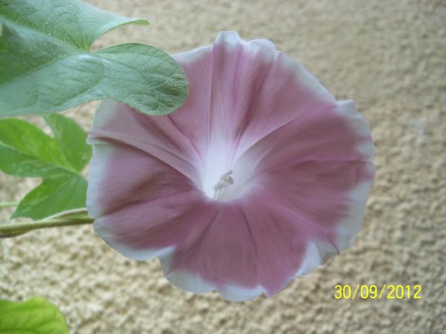 Name:  101_2139.jpg
Views: 1070
Size:  33.2 KB