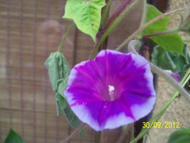 Name:  101_2145.jpg
Views: 1050
Size:  33.1 KB