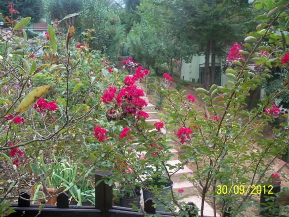 Name:  101_2258.jpg
Views: 1087
Size:  71.9 KB