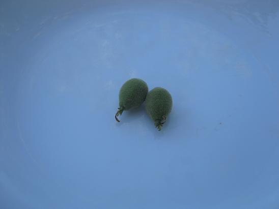 Name:  ceviz.JPG
Views: 1142
Size:  22.1 KB
