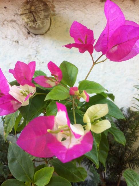 Name:  resim 017.jpg
Views: 1142
Size:  45.0 KB