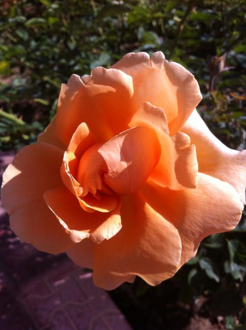 Name:  resim 026.jpg
Views: 1050
Size:  65.9 KB