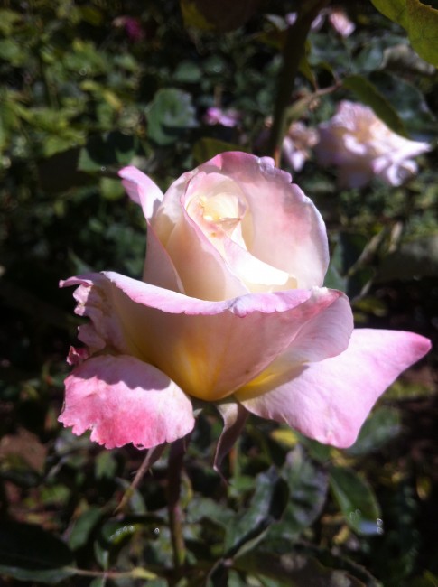 Name:  resim 027.jpg
Views: 849
Size:  65.4 KB