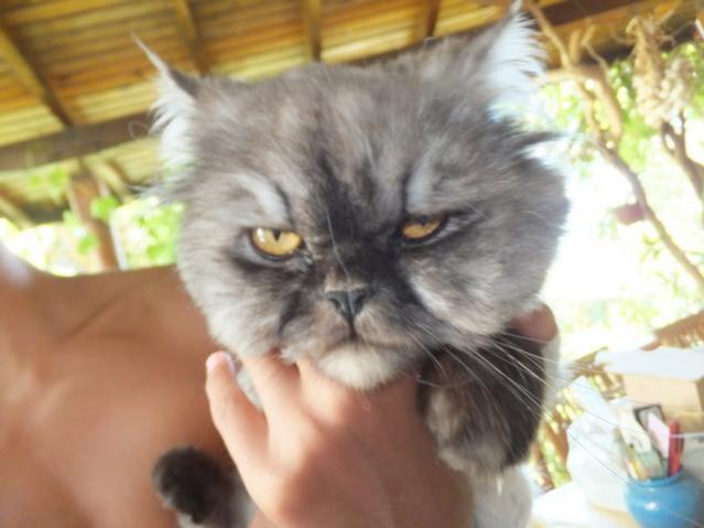 Name:  DSCF5609.jpg
Views: 790
Size:  34.8 KB