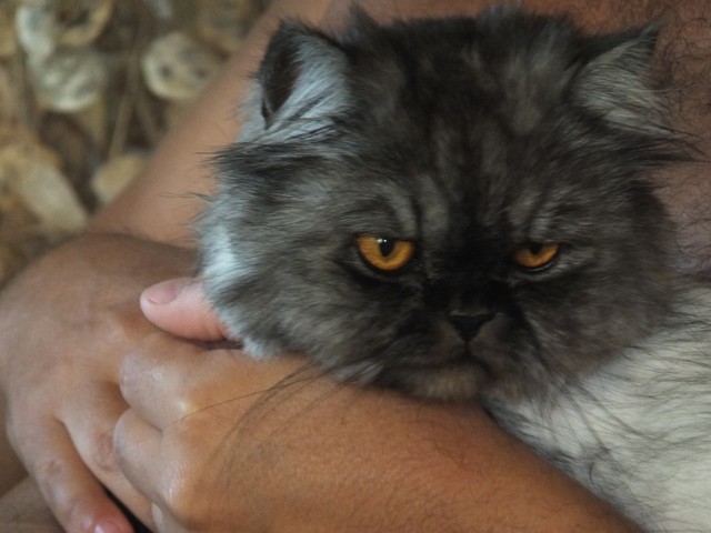 Name:  DSCF5611.jpg
Views: 303
Size:  68.2 KB