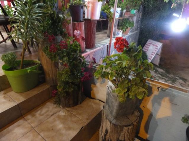 Name:  DSCF5614.jpg
Views: 336
Size:  48.5 KB