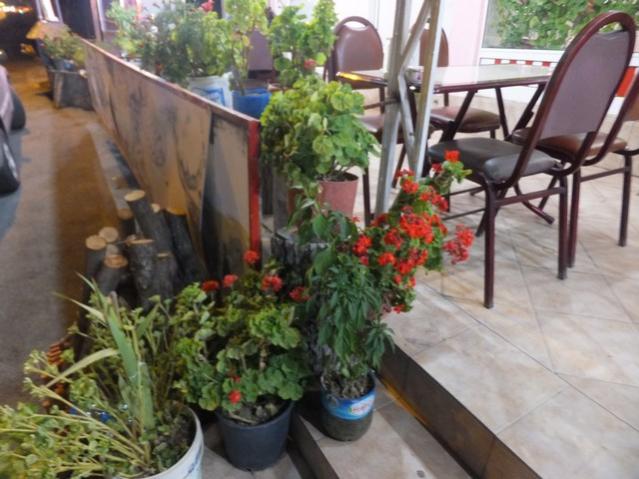 Name:  DSCF5616.jpg
Views: 287
Size:  50.8 KB