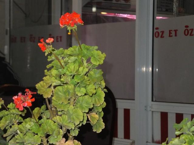 Name:  DSCF5617.jpg
Views: 290
Size:  36.9 KB
