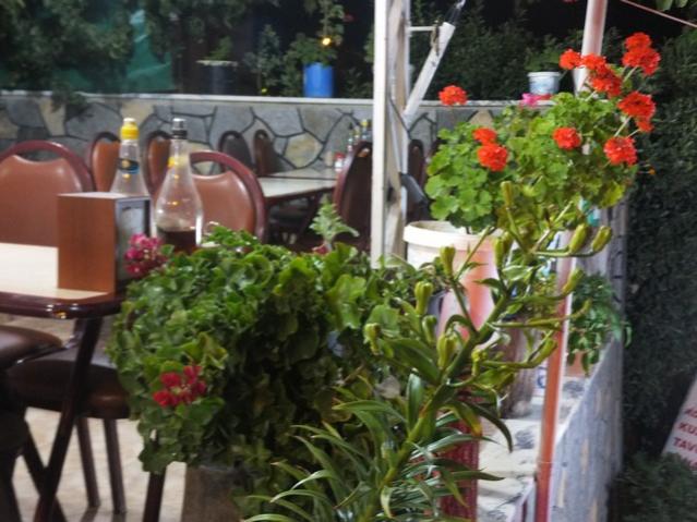 Name:  DSCF5618.jpg
Views: 294
Size:  53.2 KB