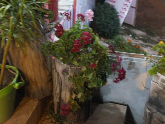 Name:  DSCF5619.jpg
Views: 295
Size:  41.5 KB