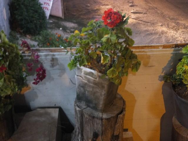 Name:  DSCF5620.jpg
Views: 337
Size:  39.6 KB