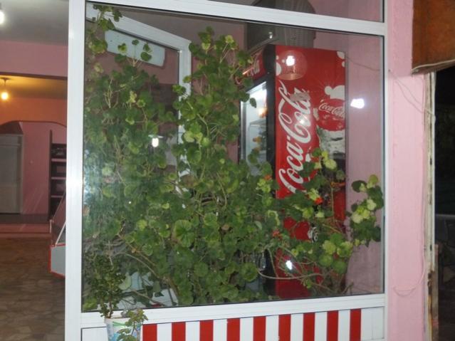 Name:  DSCF5621.jpg
Views: 315
Size:  44.9 KB