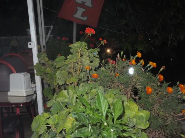Name:  DSCF5626.jpg
Views: 304
Size:  42.8 KB