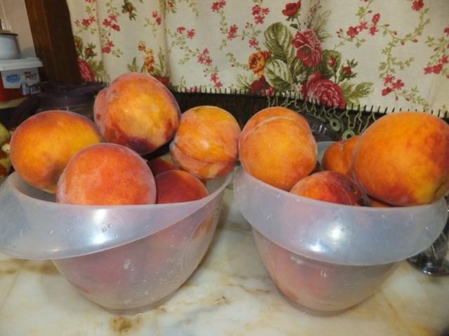 Name:  DSCF5808.jpg
Views: 323
Size:  39.2 KB