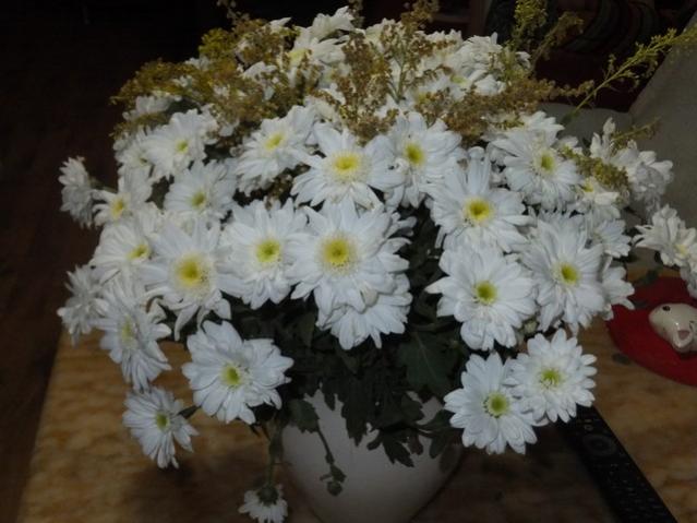 Name:  DSCF5867.jpg
Views: 228
Size:  43.1 KB