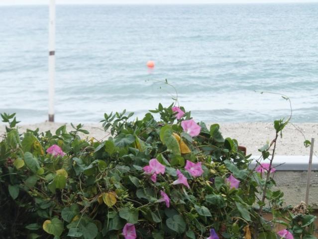 Name:  DSCF5939.jpg
Views: 230
Size:  47.1 KB