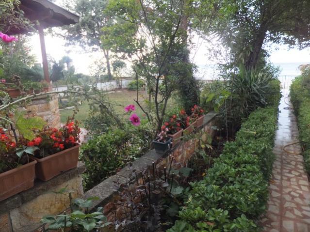Name:  DSCF5955.jpg
Views: 219
Size:  63.8 KB