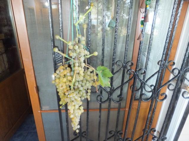 Name:  DSCF6007.jpg
Views: 534
Size:  52.4 KB