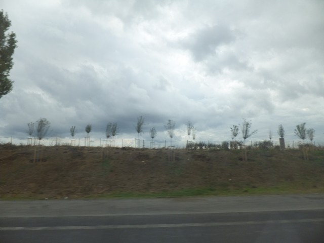 Name:  DSCF6061.jpg
Views: 473
Size:  49.1 KB