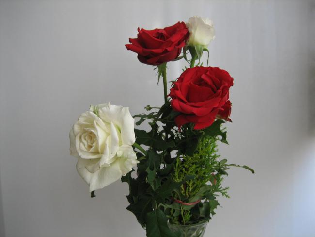 Name:  IMG_0596.jpg
Views: 1626
Size:  25.2 KB
