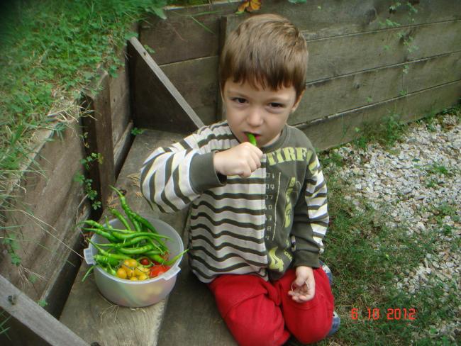 Name:  DSC00664.jpg
Views: 938
Size:  64.5 KB