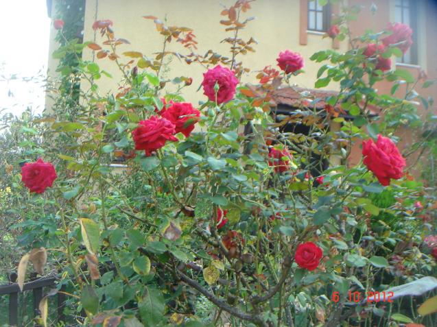 Name:  DSC00500.jpg
Views: 971
Size:  70.4 KB